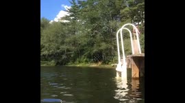 Dock dog