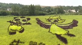 Chinese scientist carves playful animal figures out of rice fields
