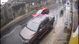 Lucky dog miraculously survives being hit by car