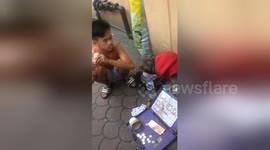 Clever rescue dog entertains commuters by doing maths