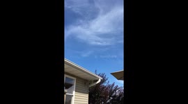 Male ruby-throated hummingbird courting female