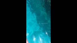 Seems like a swimming pool, Zakynthos (Greece)