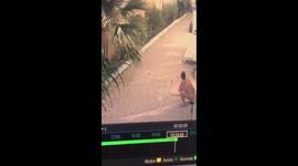 Bikini-clad woman caught on camera defecating in Sicily