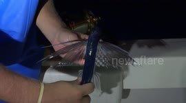 Man talks to a flying fish