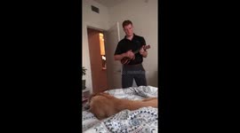 Putting our pup to sleep!
