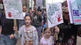 Activists protest outside Japanese Embassy in London ahead of annual dolphin slaughter