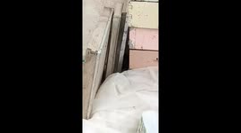 Deadly black cobra found at home attacked us