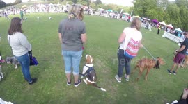 Penny Lancaster At  Pup Aid