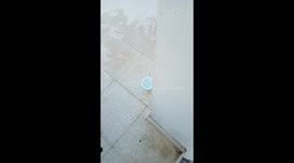 Benny runs with bowl of water