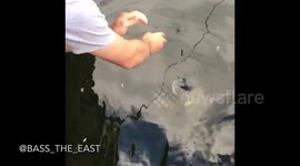 Snapping turtle bites man in the face FULL VIDEO FAIL !