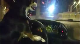 It drives better then girls