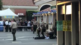 Police open fire at Del Mar Fairgrounds shooter