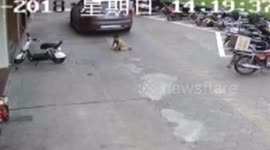 广东佛山 男童人行道玩耍被车碾过  机智趴下躲过一劫
