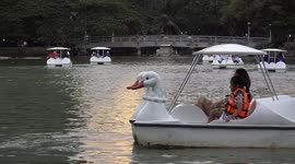 Swan Lake in Bangkok.