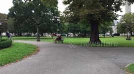 Cyclist riding no-hands, eating and drinking, through park.