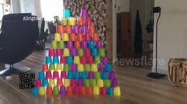 No Tower To High for this Queen
