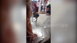 Runaway bull breaks into market place and terrifies shoppers