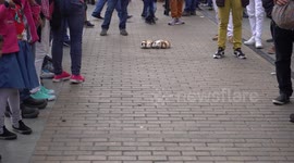 El Septimazo