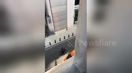 Newsflare Edit - @BarnRiley @BBCBreaking https://t.co/TtYPmP9dIV