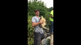 Clue's in the name: Snapping turtle bites man
