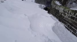 Shadow the German Shepherd goes for higher ground to see the Beast from the East!