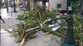Signal drops to the floor & Osaka street light destroyed by fallen trees after Typhoon Jebi wreaks havoc