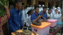 Pupils play with pythons to raise awareness of reptile conservation