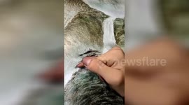 Talented Chinese artist paints with his bare hands