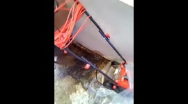 Two month old leak from neighbours kitchen ( took over two months for them to. Decide to fix it)
