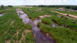 Drone Shots of Kruger National Park 1080p