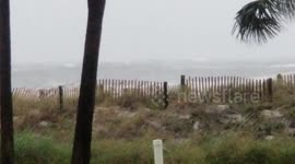 Storm Gordon kills one after tree collapses onto trailer in Pensacola, Florida