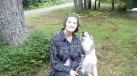 Alaskan Malamute Sojou wants to be camp cook Part 3