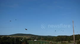 Loads of House Martins circling in front of me.