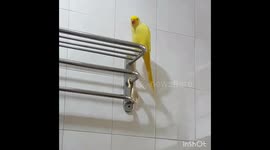When you try to avoid an awkward situation...