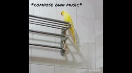 Parrot attempts to sing Happy Birthday Song