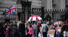 Pro-Brexit demonstrators 'block gates to Downing Street'