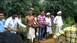 Python Live Rescue Video