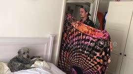 Dog left unimpressed in 'What the Fluff?' challenge fail