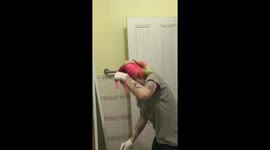 DIY rainbow hair