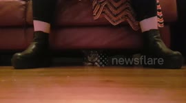Dog gets bum stuck under sofa