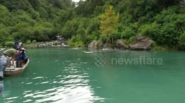 Fishing with bear in Alaska