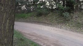 RALLY CRASH RENAULT CLIO ACCIDENT