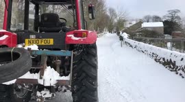 Battling the Beast! Bath time for Highland cattle!
