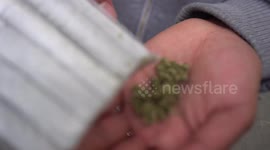 Marijuana fumate in protest of Duque's proposal