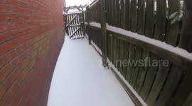 Yi 4K, Jnr & The Snow Spaniel - The Beast from the East