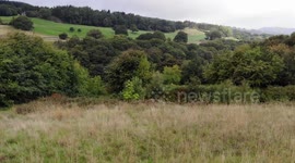 Fernilee Reservoir - Trees - High Peak