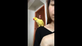 When you try your best, but you don't succeed...