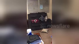 Newsflare Edit - and this is where he believed he was invisible https://t.co/c8MCQDVbjn