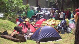 Venezuelan Crisis