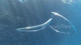When two bubbles collide: freediver's stunning slo-mo underwater footage captures moment two bubble rings meet